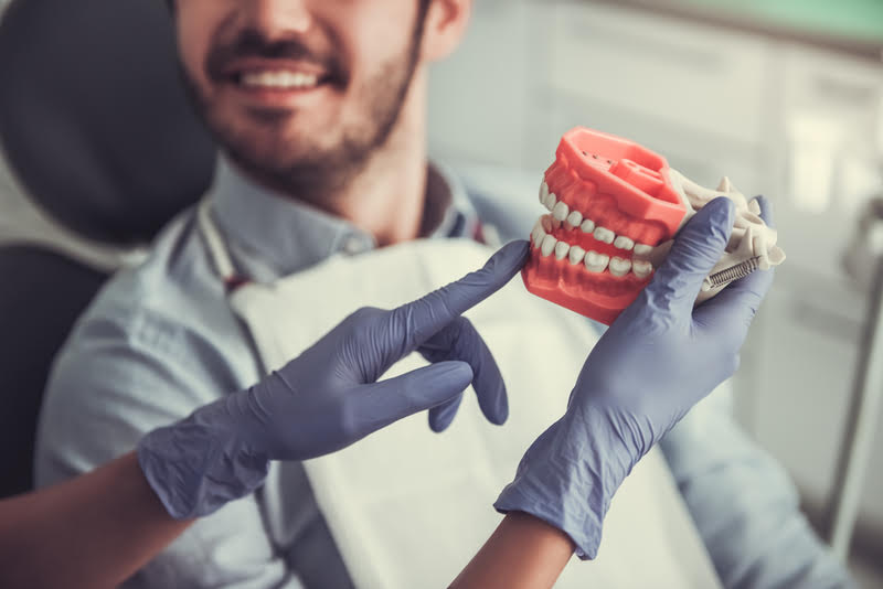 A dentist holding a model of teeth